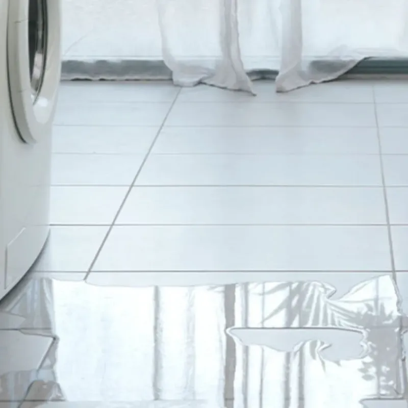 Appliance Leak Cleanup in Industry, PA