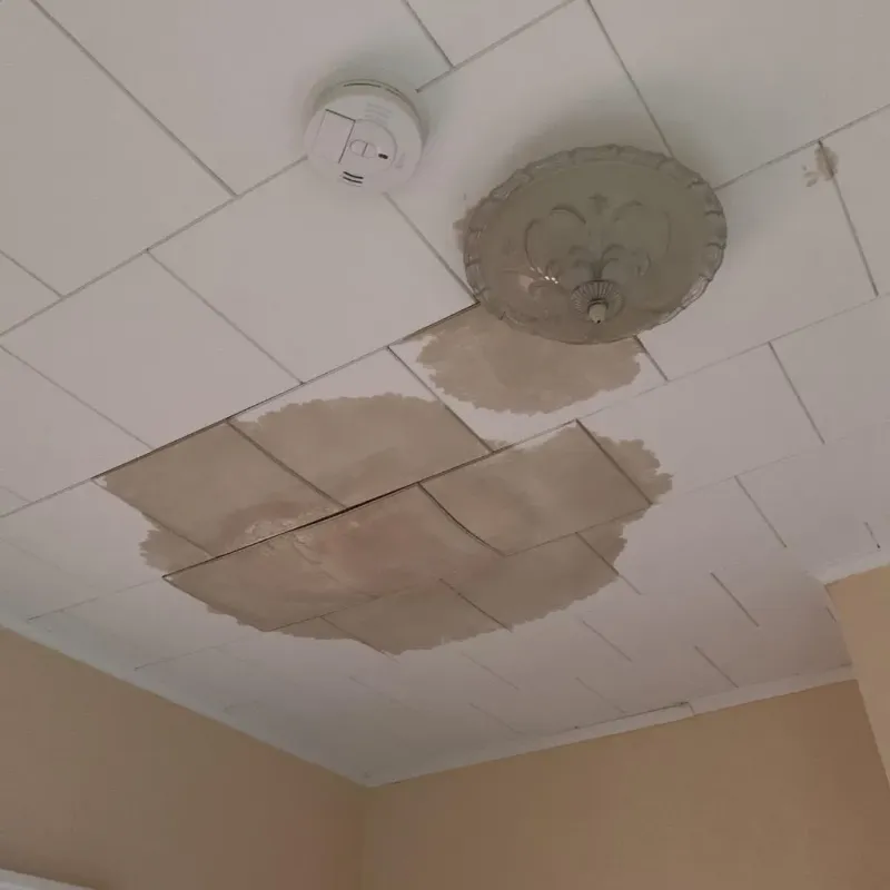 Ceiling Water Damage Repair in Industry, PA