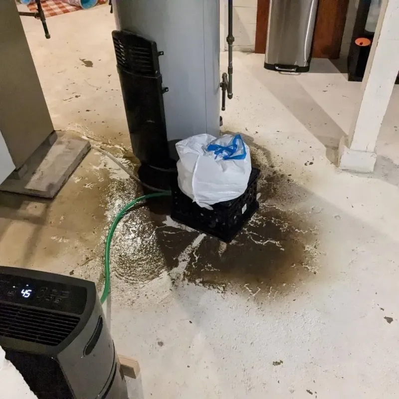 Sewage Backup Cleanup Service in Industry, PA